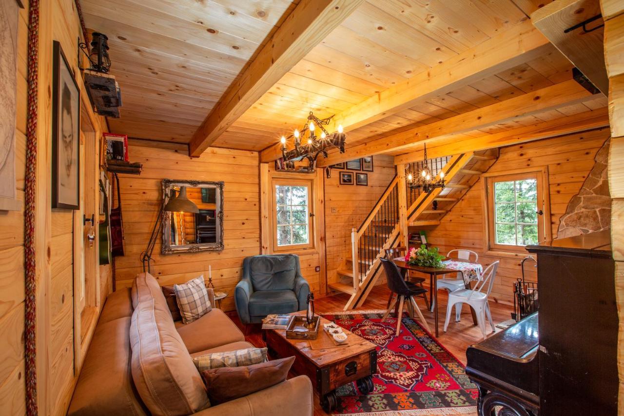 Villa Piccolo Orso Žabljak Exteriör bild