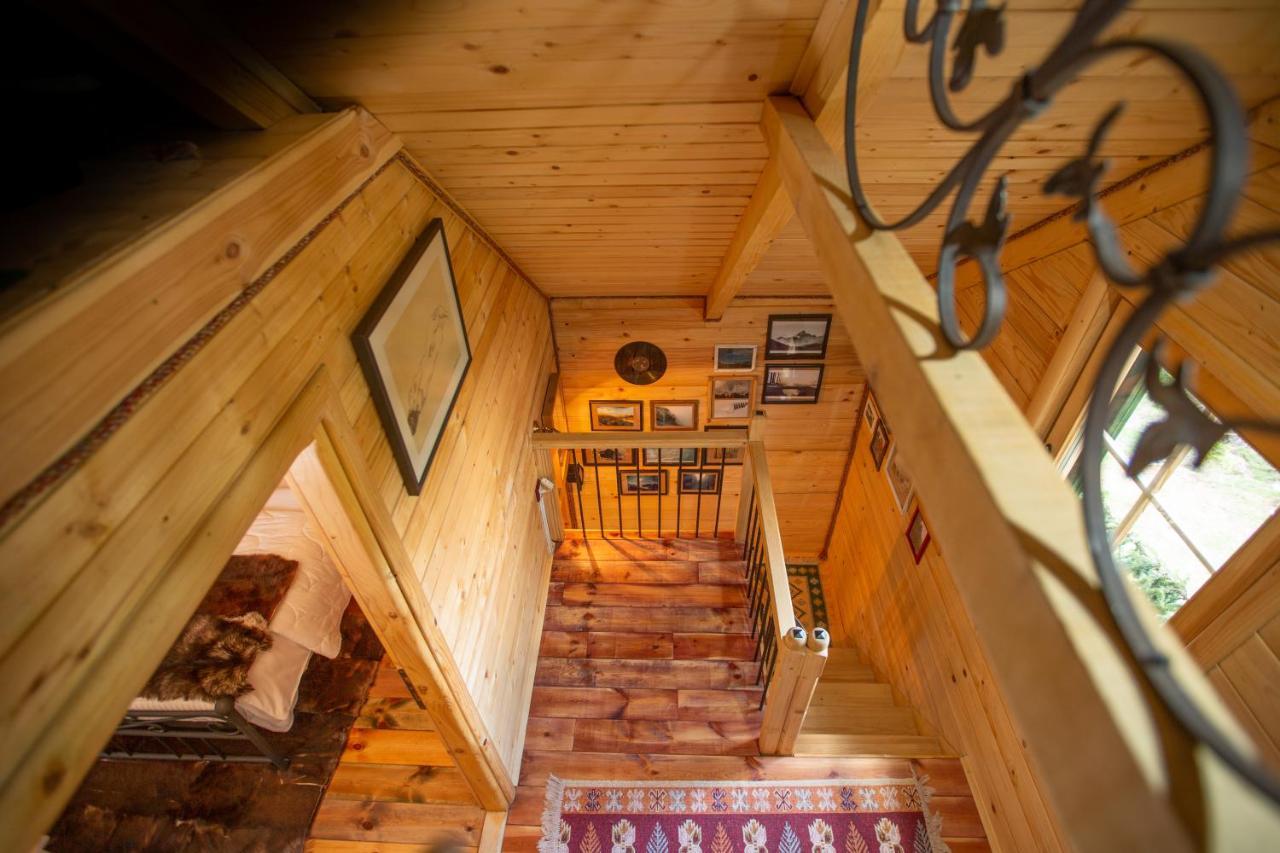 Villa Piccolo Orso Žabljak Exteriör bild