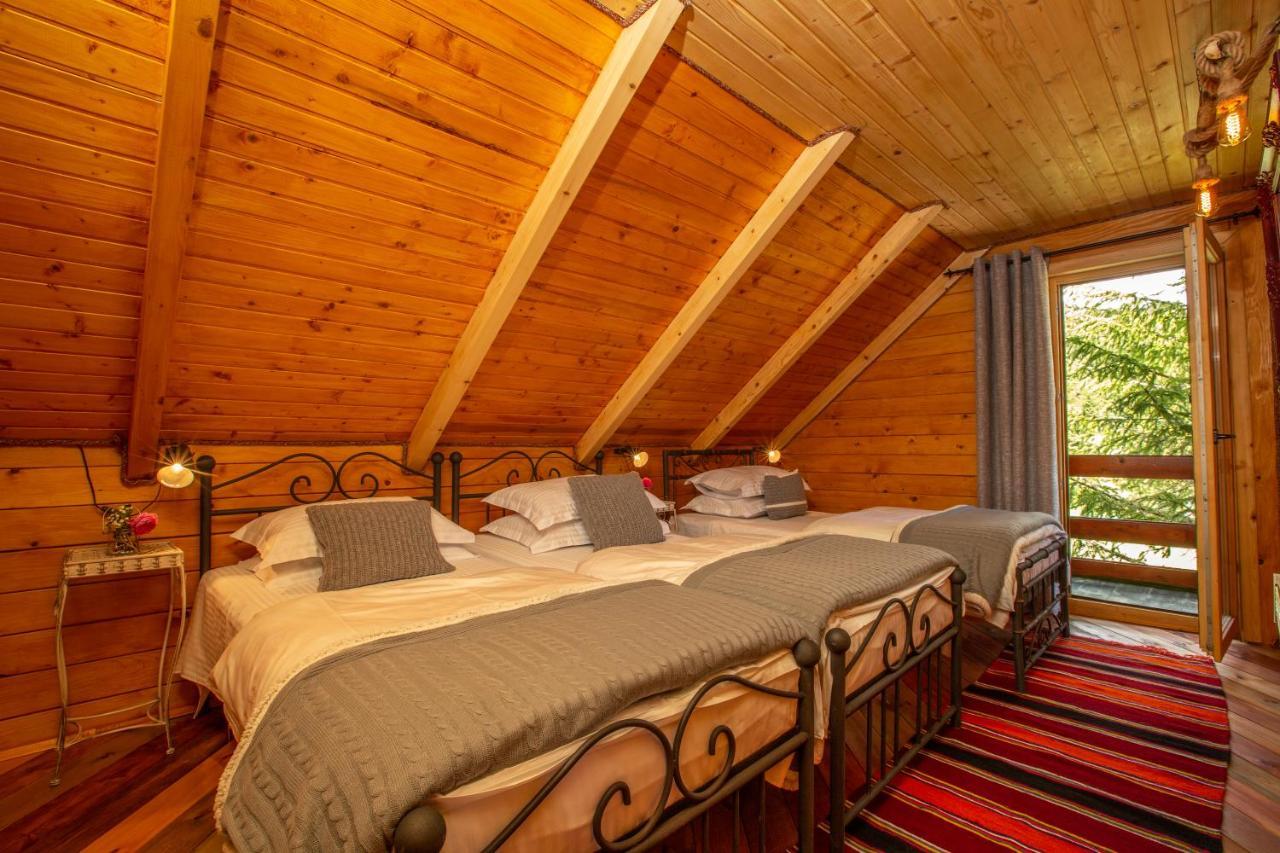 Villa Piccolo Orso Žabljak Exteriör bild