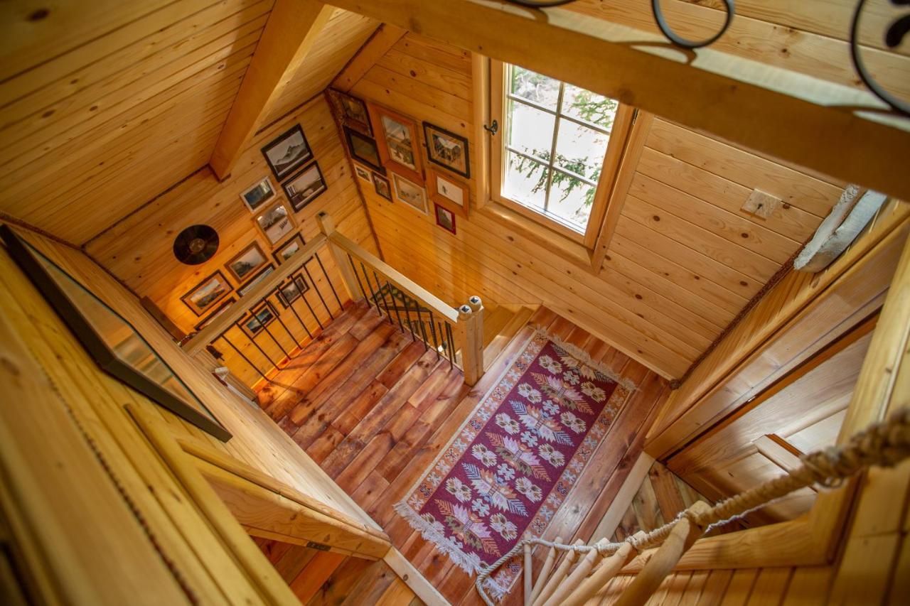 Villa Piccolo Orso Žabljak Exteriör bild
